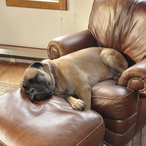 Meet your Posher, Stephen